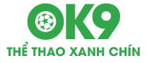 ok9vn2.com